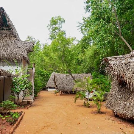 Nebula Nest Cafe & Hostel Auroville Exteriér fotografie