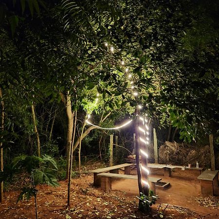 Nebula Nest Cafe & Hostel Auroville Exteriér fotografie