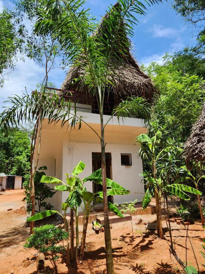 Nebula Nest Cafe & Hostel Auroville Exteriér fotografie