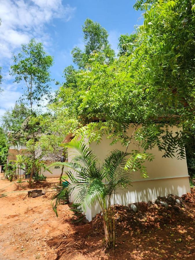 Nebula Nest Cafe & Hostel Auroville Exteriér fotografie