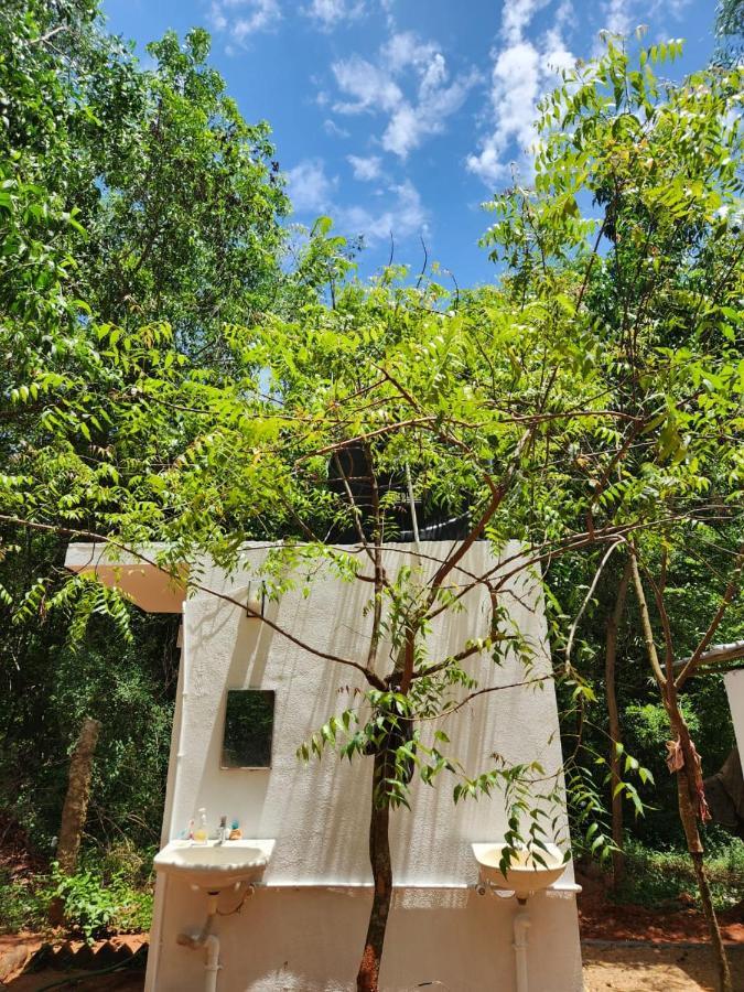 Nebula Nest Cafe & Hostel Auroville Exteriér fotografie