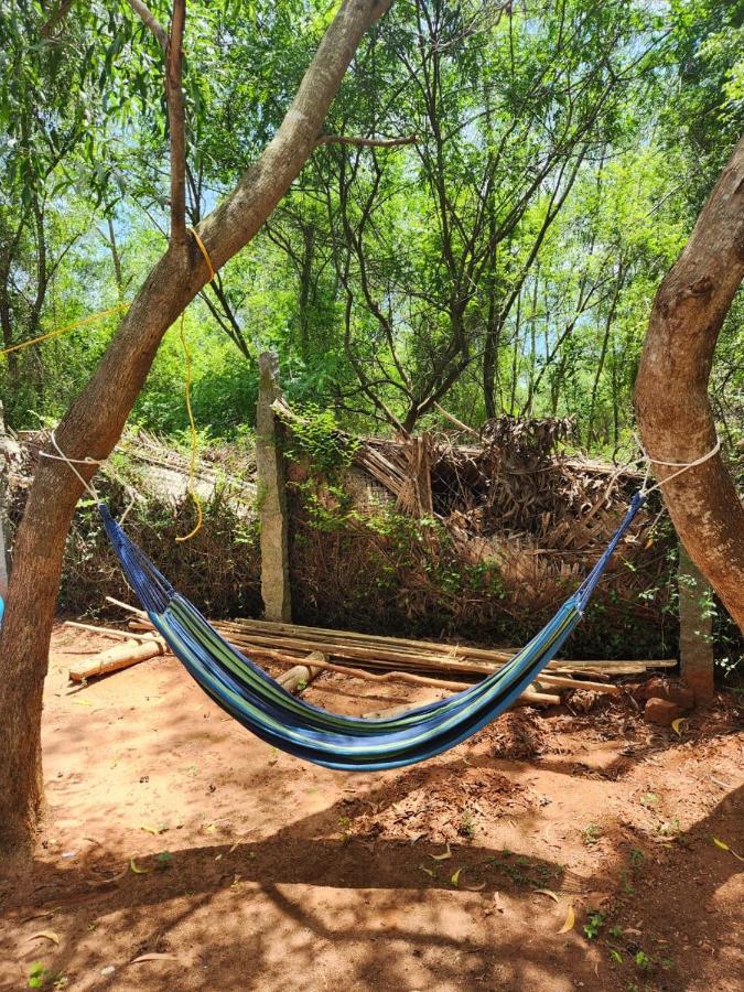 Nebula Nest Cafe & Hostel Auroville Exteriér fotografie