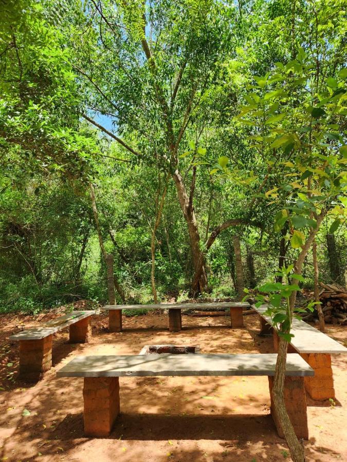 Nebula Nest Cafe & Hostel Auroville Exteriér fotografie