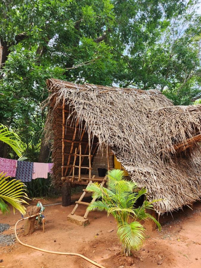 Nebula Nest Cafe & Hostel Auroville Exteriér fotografie