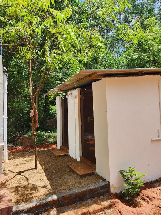 Nebula Nest Cafe & Hostel Auroville Exteriér fotografie