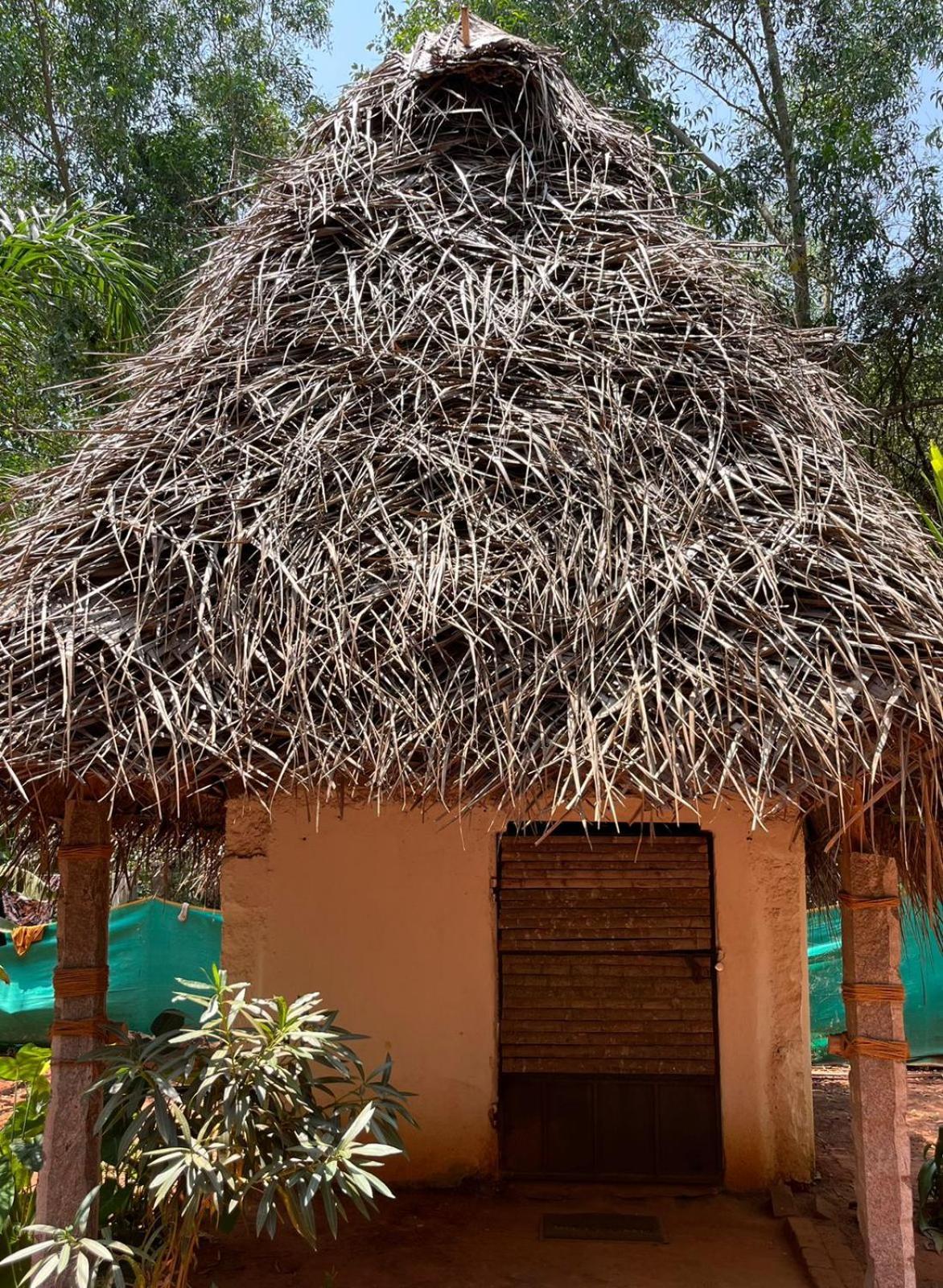 Nebula Nest Cafe & Hostel Auroville Exteriér fotografie