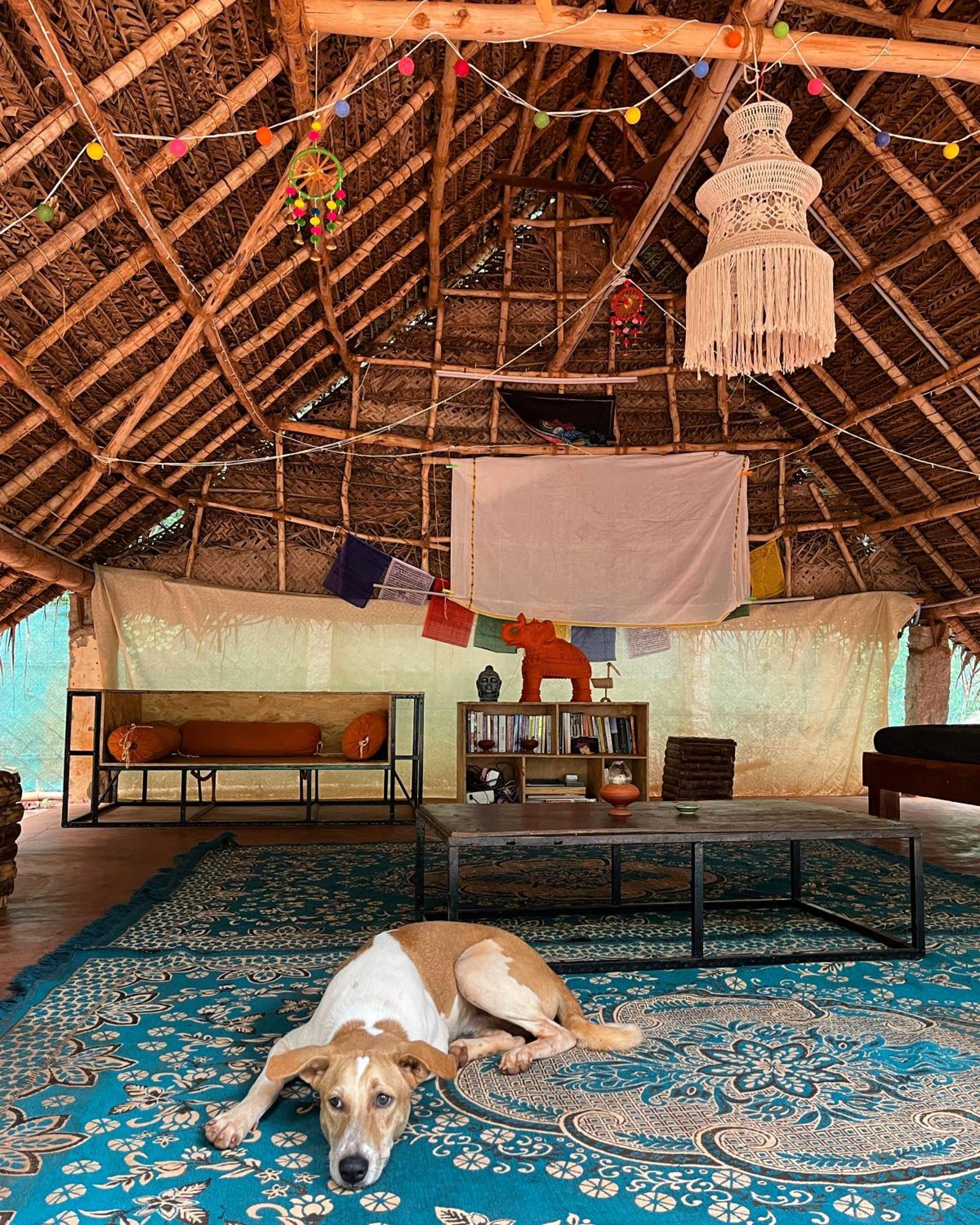 Nebula Nest Cafe & Hostel Auroville Exteriér fotografie