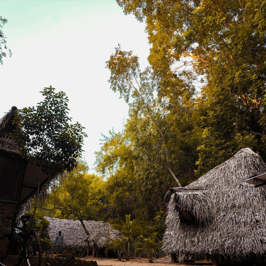 Nebula Nest Cafe & Hostel Auroville Exteriér fotografie