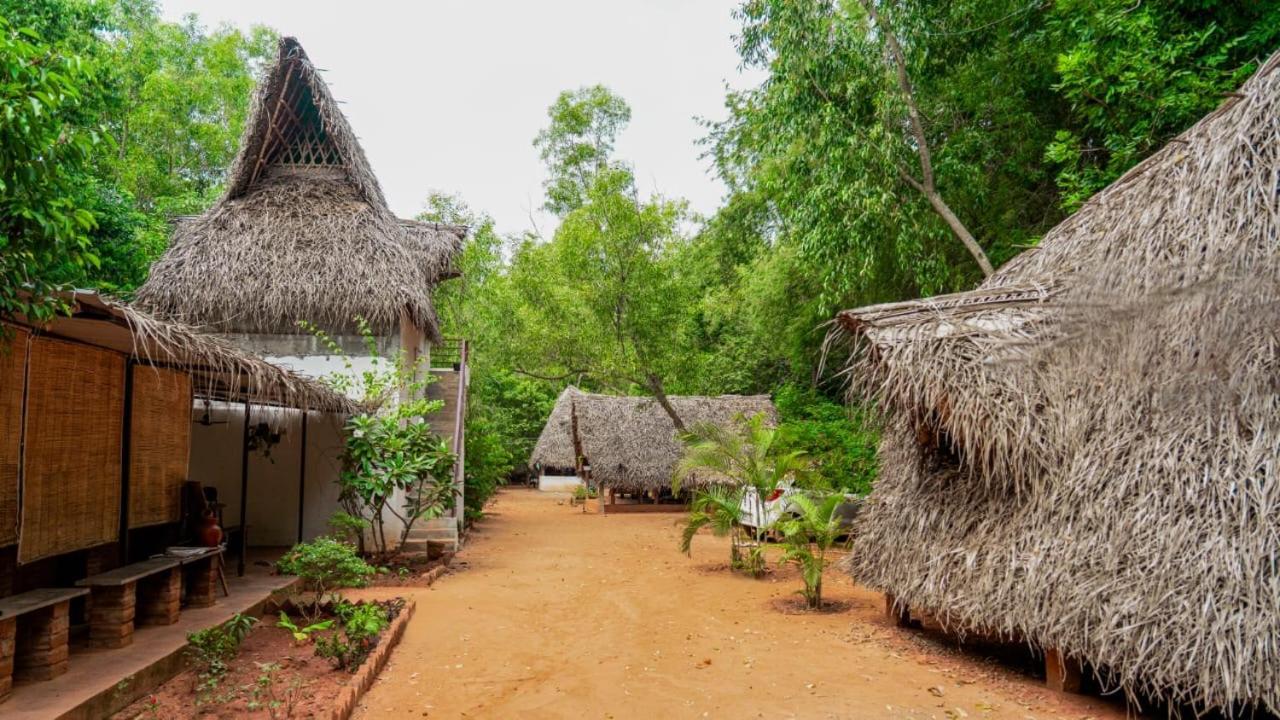 Nebula Nest Cafe & Hostel Auroville Exteriér fotografie