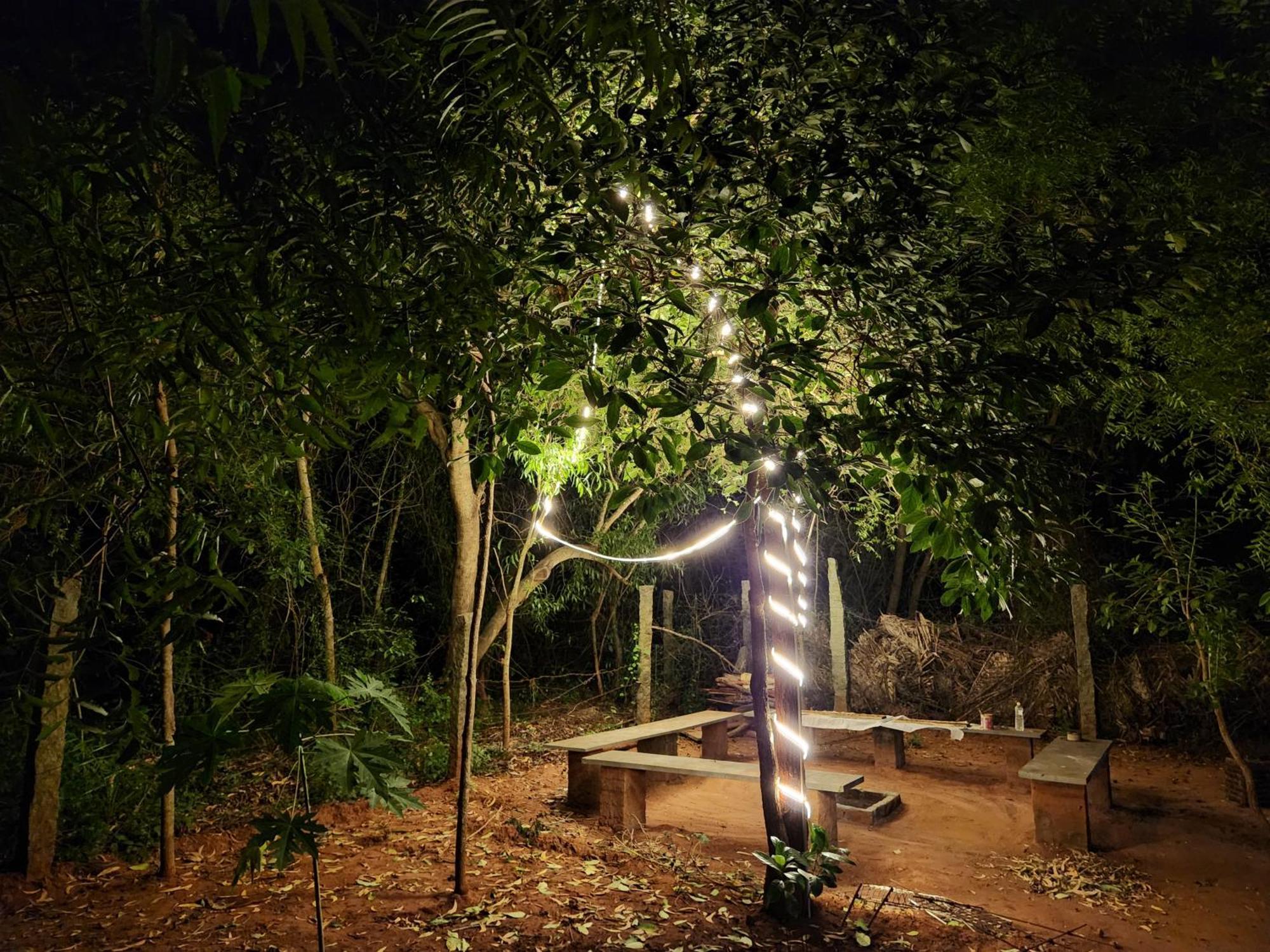 Nebula Nest Cafe & Hostel Auroville Exteriér fotografie